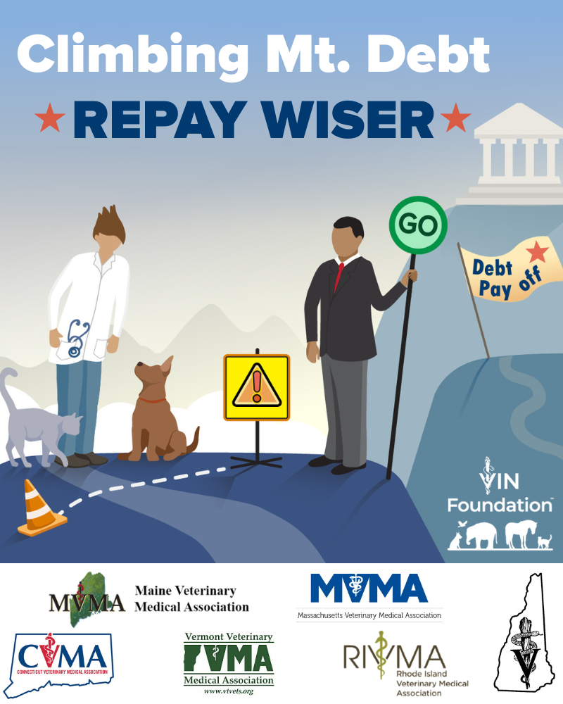 VIN Foundation Climbing Mt. Debt Repay Wiser Student Debt